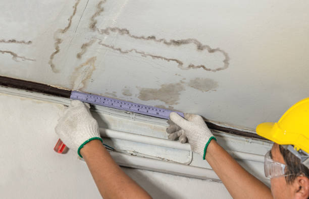 Reliable Basement Flood Cleanup contractor in Port Costa, CA by Hirex Water Damage